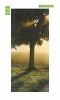 Sunlit tree wallpaper for doors FP 4021 - Graphic design featuring a tree with sun rays against green grass and fields.