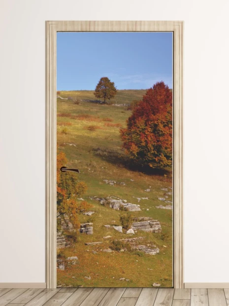 Autumn mountain door wallpaper FP 3982 - Room decor with light-colored walls and natural elements in the background.