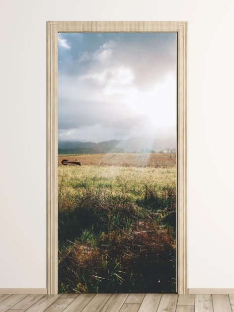 Sunlit meadow door mural FP 1552 - Room arrangement with light-colored walls and wooden flooring.
