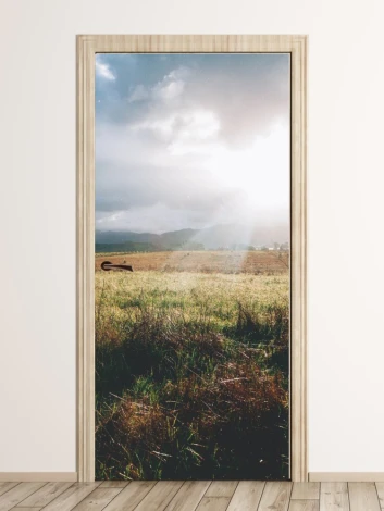 Sunlit meadow door mural FP 1552 - Room arrangement with light-colored walls and wooden flooring.