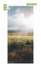 Sunlit meadow door mural FP 1552 - Graphic design featuring a green meadow with sun rays and clouds.