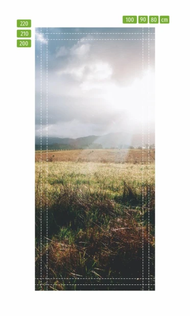 Sunlit meadow door mural FP 1552 - Graphic design featuring green grass and sun rays.