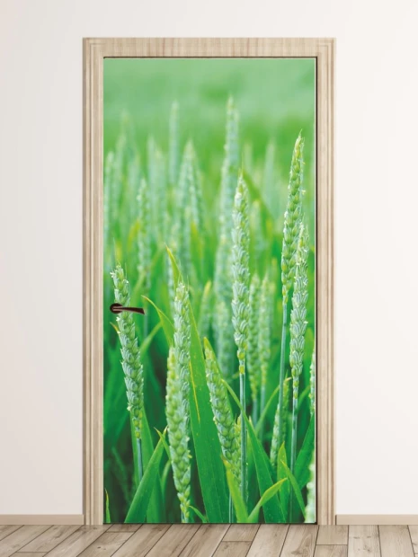 Wheat field door wallpaper FP 1810 - Modern interior design with light walls and wooden flooring.