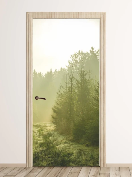 Mountain dawn door mural FP 1774 - Entryway decor with light-colored walls and wooden flooring.