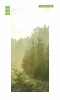 Door wallpaper Dawn in the Mountains FP 1774 - Graphic design depicting a misty morning in a pine forest with grass.