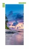 Tropical island door mural FP 1523 - Graphic design featuring a beach, water, and palm tree at sunset.