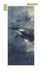 Kids\' door wallpaper orca FP 6015 - Graphic design featuring an orca jumping over water with mountains and waves in the background.