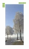 Winter field door mural FP 5967 - Graphic design featuring frosted trees by a road under a bright sky.