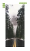 Mountain road wallpaper for doors FP 6023 - A graphic design featuring a tree-lined path leading to foggy mountains.