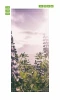 Lavender door mural FP 4398 - Graphic design featuring lavender flowers in shades of purple against a blurred landscape.