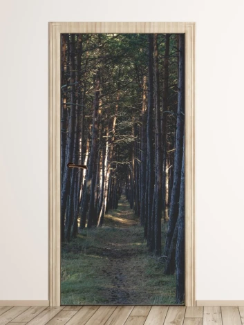 Forest door wallpaper FP 6025 - Graphic design featuring a tree-lined path in the woods.