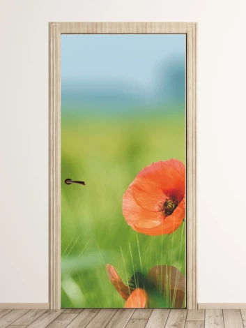 Door wallpaper with poppies in a field FP 5614 - Graphic design featuring red poppies against a green background.