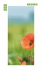 Door wallpaper with poppies in a field FP 5614 - Graphic design featuring red poppies against green grass.