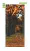Park alley door wallpaper FP 5737 - Graphic design featuring a tree-lined path in autumn colors.