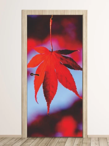 Red leaf door mural FP 6078 - Graphic design featuring a red leaf against blurred red and blue hues.