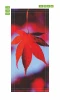 Red leaf door wallpaper FP 6078 - Graphic design. Red leaf against a blue sky background.