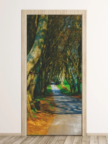 Wallpaper for doors featuring a tree-lined path, showcasing a walkway surrounded by trees.