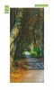 Door wallpaper featuring a tree-lined path, showcasing a walkway surrounded by trees.