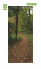 Forest path door mural FP 6035 - Graphic design featuring a woodland trail surrounded by trees and leaves.