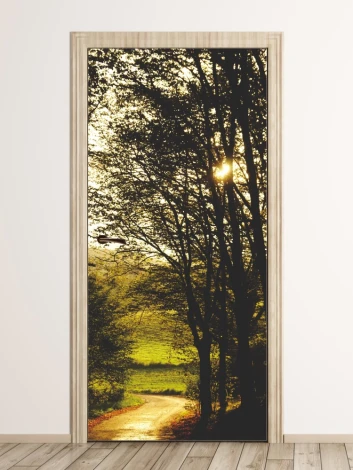 Mountain road door mural FP 6040 - Graphic design featuring a path among trees with sun rays.