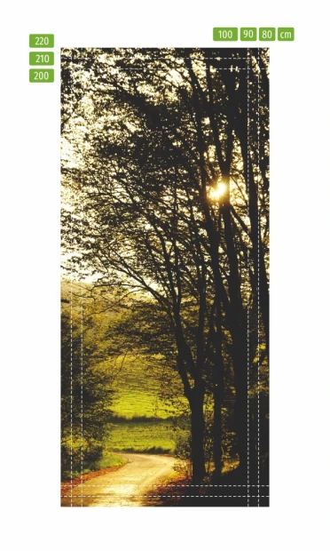 Mountain road door mural FP 6040 - Graphic design featuring a winding road surrounded by trees and sunlight.