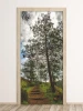 Mountain path door mural FP 6036 - Modern interior design with light-colored walls and wooden flooring.