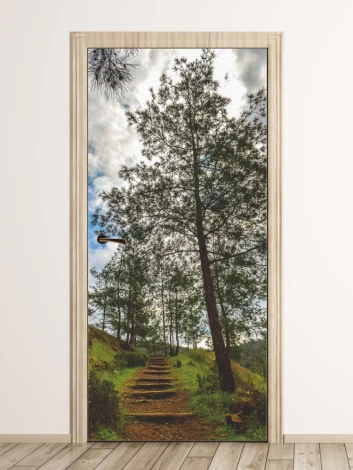 Mountain path door mural FP 6036 - Modern interior design with light-colored walls and wooden flooring.