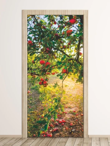 Apple tree door mural FP 6067 - Graphic design featuring a branch with red apples on a light background.