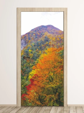 Autumn mountain door wallpaper FP 6076 - Modern interior design with light-colored walls.