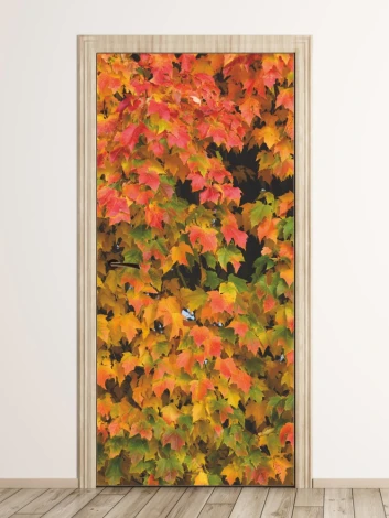 Autumn leaves door mural FP 6068 - Graphic design featuring leaves in shades of red, orange, and yellow.