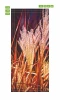 Autumn grass door wallpaper FP 6074 - Graphic design featuring grasses in shades of brown and gold.