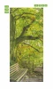 Park bench wallpaper FP 6043 - Natural space design featuring green trees and a park bench.
