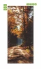 Forest path wallpaper for doors, sunlit design with trees and leafy shades.