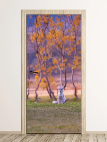 Wallpaper for doors featuring a white fox among grass and trees, design FP 6072.