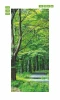 Forest path wallpaper for doors FP 6030 - Features a graphic design of a wooded trail surrounded by trees and green leaves.