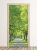 Park alley door wallpaper FP 6028 - Styled in a hallway with light walls and wooden flooring.