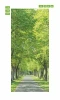 Park alley door wallpaper FP 6028 - Graphic design featuring a tree-lined path with green leaves.