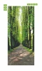 Park alley door mural FP 6047 - Graphic design featuring a tree-lined path with green leaves.