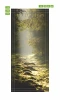 Sunbeam door wallpaper FP 6073 - Graphic design featuring a forest path illuminated by sunlight.