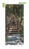 Rocky stairs door mural FP 6038 - Graphic design featuring stone steps surrounded by green trees.