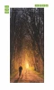 Door mural FP 6029 - Graphic design featuring a person walking a dog in a forest surrounded by trees.