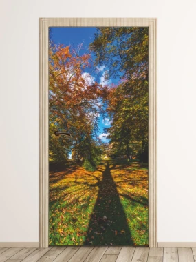 Tree shadow door wallpaper FP 6069 - Bright room decor with neutral walls and wooden accents.