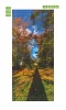 Door wallpaper FP 6069 - Graphic design featuring a tree shadow on a path surrounded by colors.