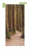 Door wallpaper featuring a dense forest FP 6033 - Natural style decor with brown and green wall tones.
