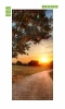 Sunset door mural FP 6050 - Graphic design featuring a sunset over a path in a park.