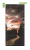 Sunset door mural FP 6032 - Graphic design featuring a forest path under an orange sky.
