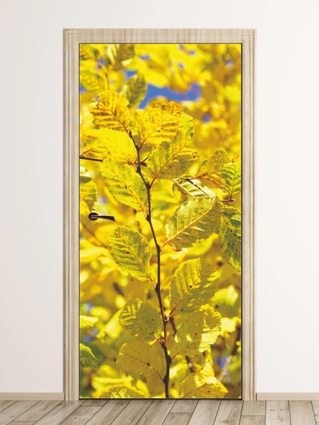 Yellow autumn leaves door wallpaper FP 6077 - Graphic design with yellow leaves and branch layout against a sky background.