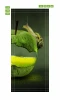 Fairy tale snail door wallpaper FP 6085 - A graphic design of a snail climbing a green apple with a transparent interior.