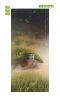 Fantasy turtle door mural FP 6095 - Graphic design. Turtle in a green landscape with a tree against the sky.