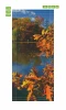 Autumn leaves wallpaper for doors, featuring orange and yellow shades against a lake backdrop. Design code: FP 6080.